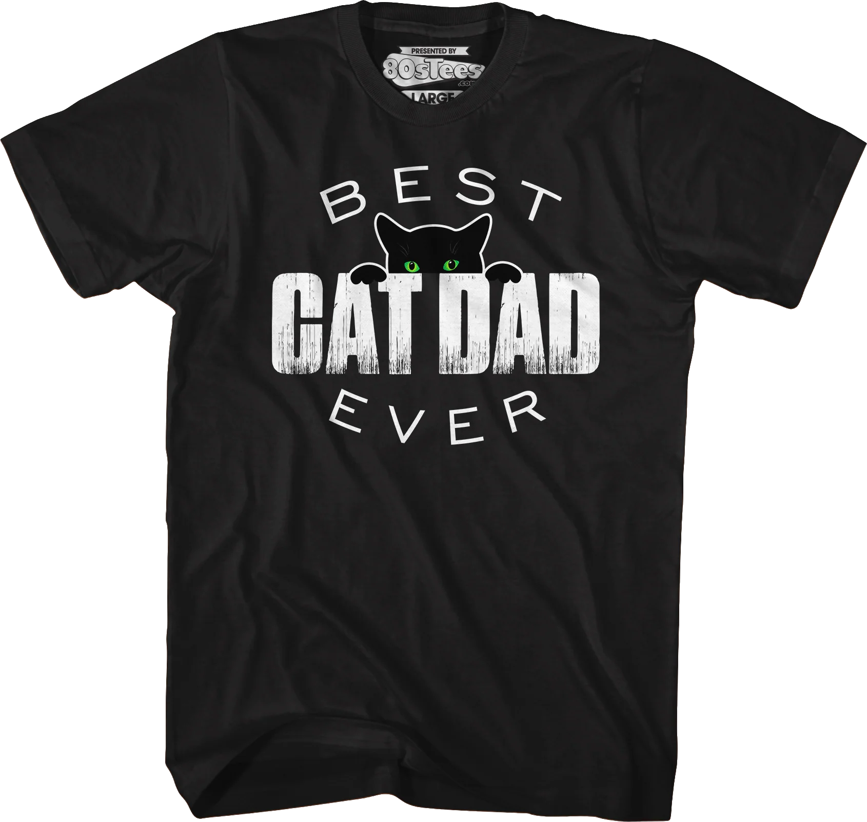 Best Cat Dad Ever T-Shirt - Image 5