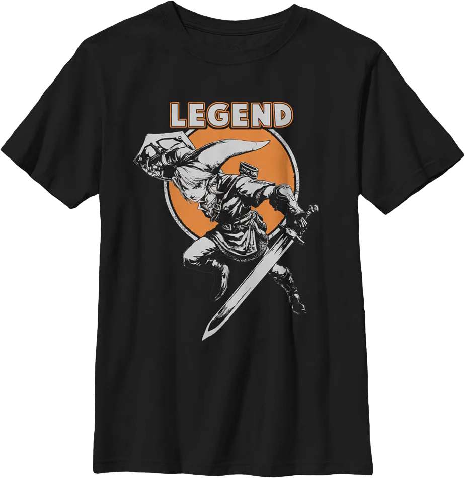 Boys Youth Link Hero Pose Legend of Zelda Shirt