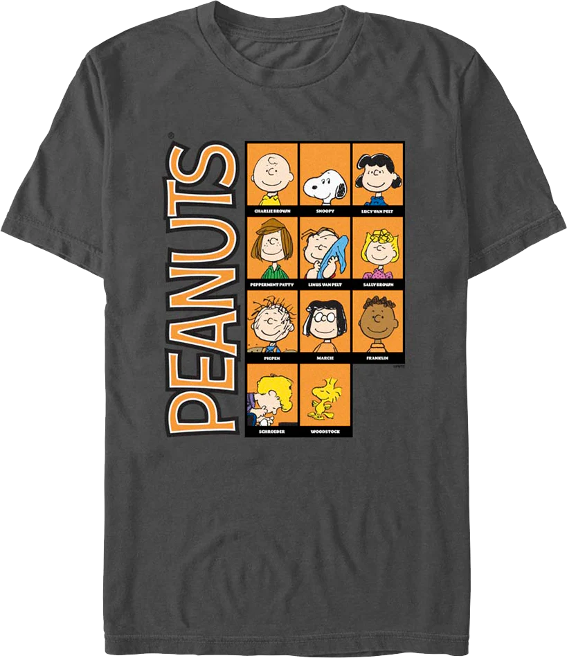Classic Character Blocks Peanuts T-Shirt