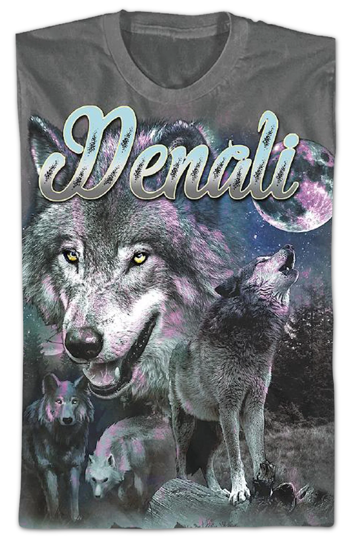 Denali National Park Foundation T-Shirt - Image 2