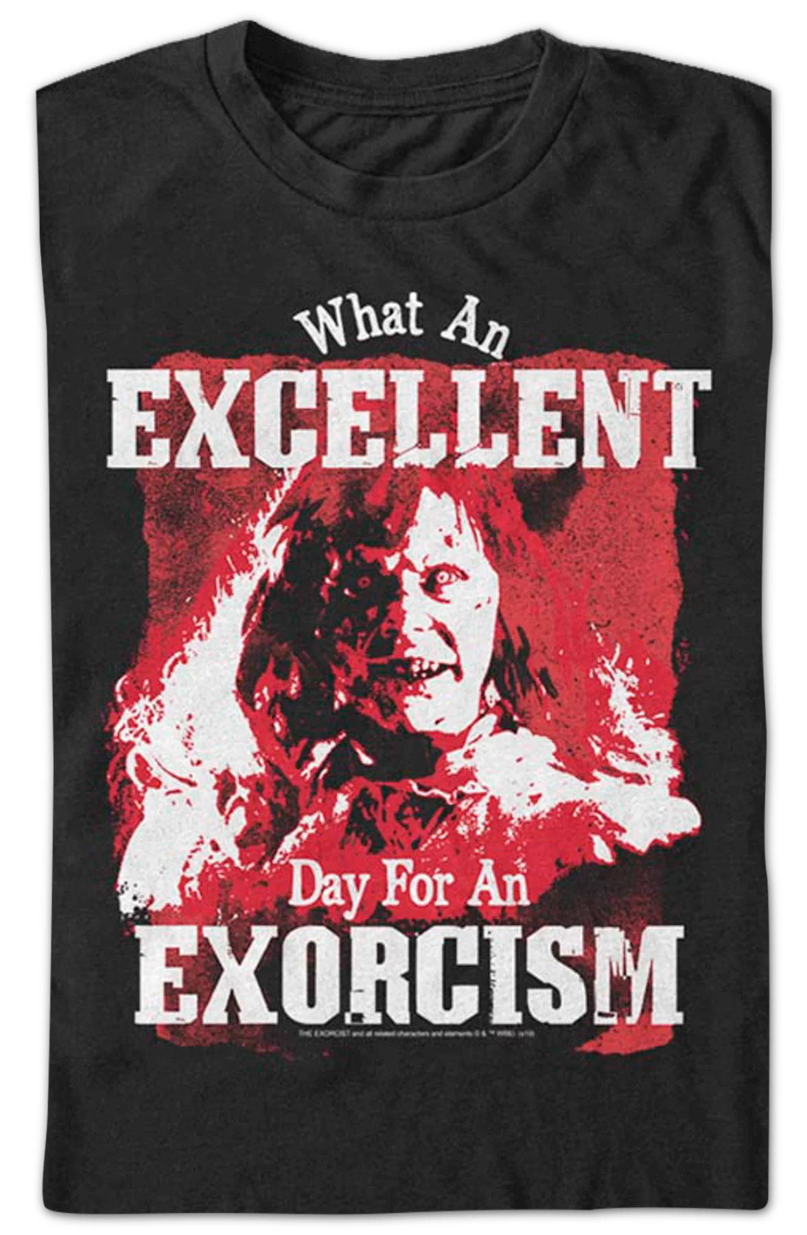 Excellent Day For An Exorcism Exorcist T-Shirt - Image 2