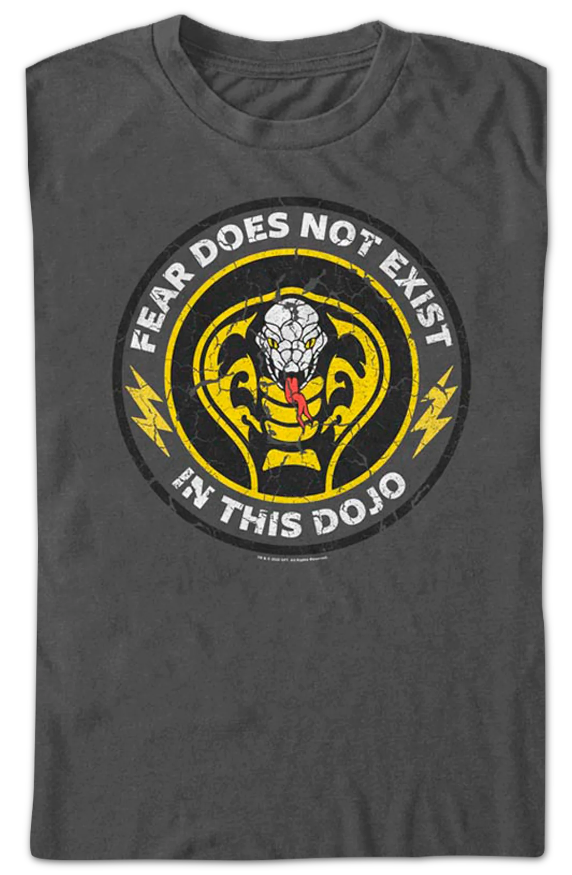 Fear Does Not Exist In This Dojo Cobra Kai T-Shirt - Image 2