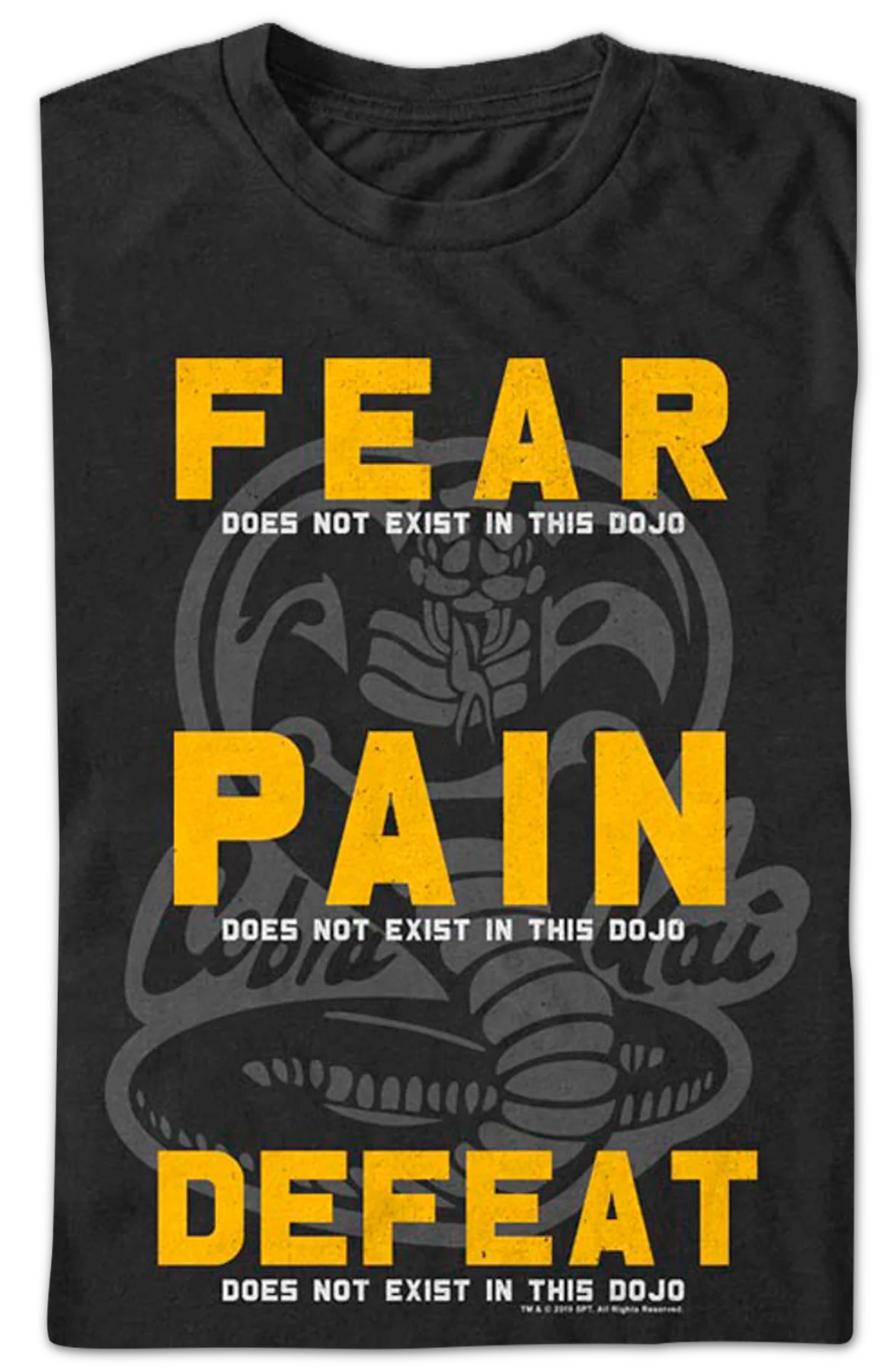 Fear Pain Defeat Do Not Exist In This Dojo Cobra Kai T-Shirt - Image 2