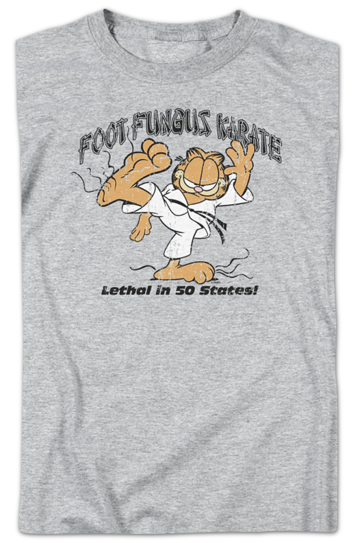 Foot Fungus Karate Garfield T-Shirt - Image 2