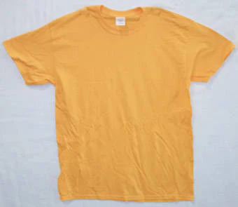 Mens Gold Blank