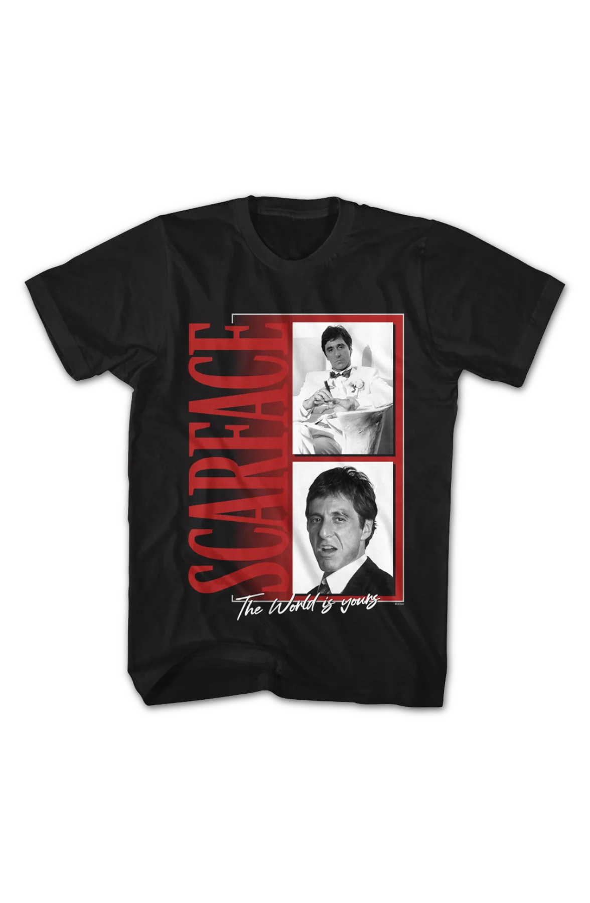 The World Is Yours Photos Scarface T-Shirt - Image 2