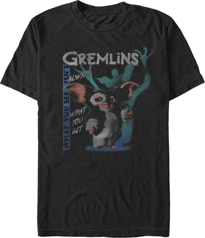 What You See Isn't Always What You Get Gremlins T-Shirt
