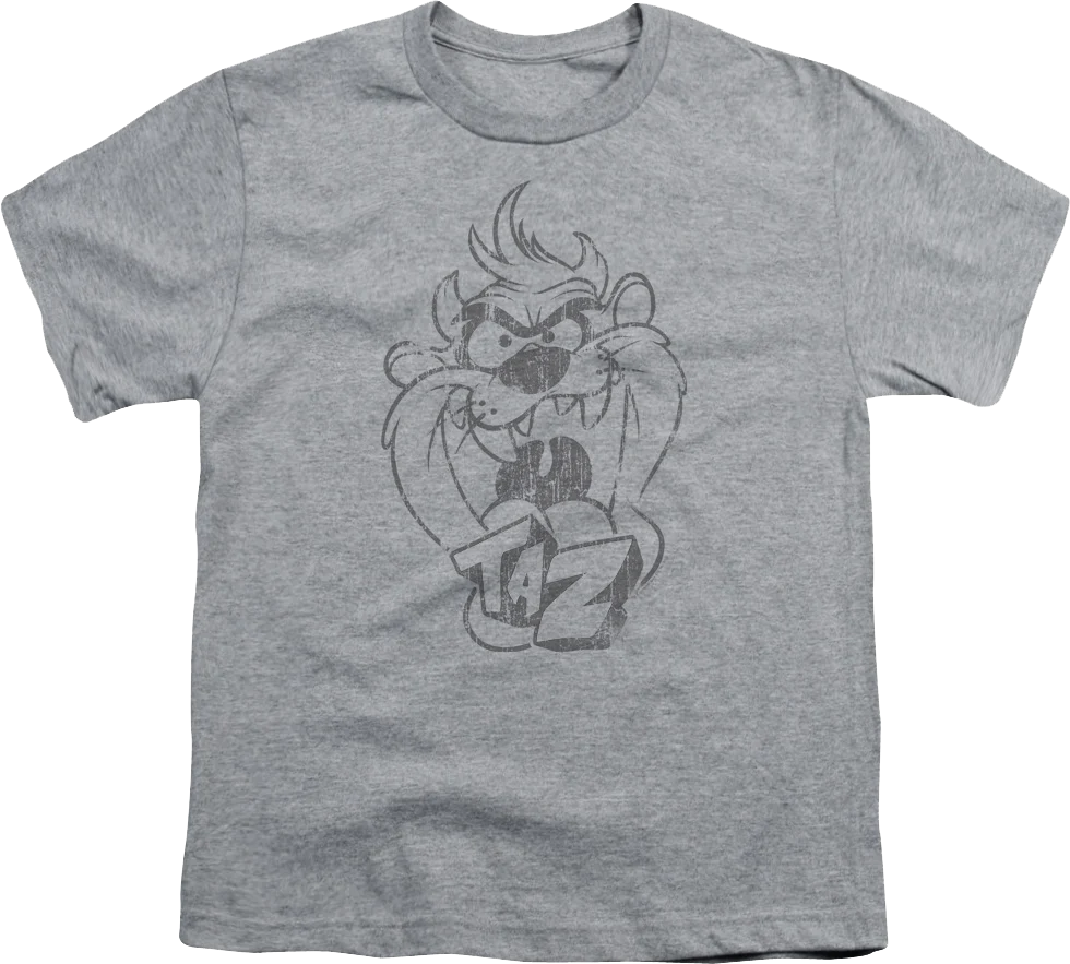 Youth Taz Sketch Looney Tunes Shirt